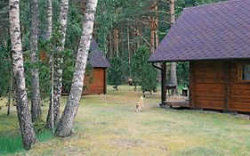 Niidupuu Camping